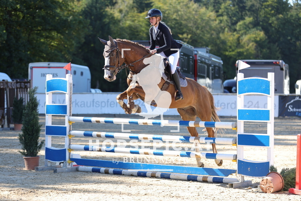 0P6A0338 | Willkommen bei Brunnmayr - Design & Fotografie – Ihrem Spezialisten für Reitturniere und Pferdeveranstaltungen in Oberösterreich, Salzburg und Bayern! Seit über 17 Jahren sind wir leidenschaftlich dabei.