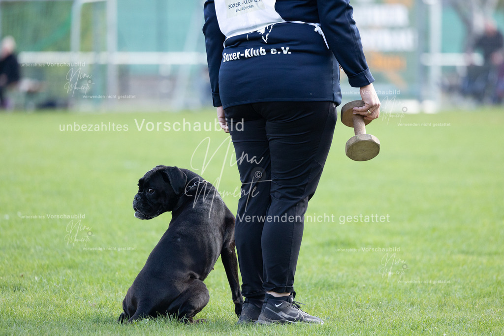 _16A5573 | Einzigartige Fotos von Hunden & Menschen –Actionfotos, Portraits, Vereinsaufnahmen & Paarshootings – authentisch, lebendig & mit Herz.