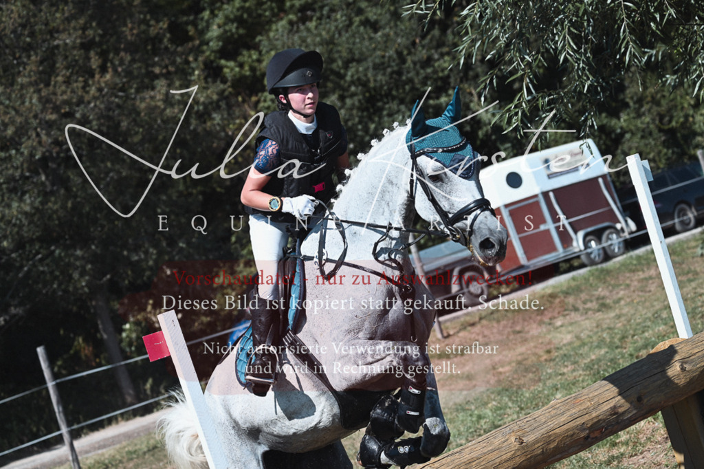 DSC_8469 | Pferde- und Turnierfotografie in Westsachsen. Pferdeportraits, Auftragszeichnungen und intuitive Kunst.
