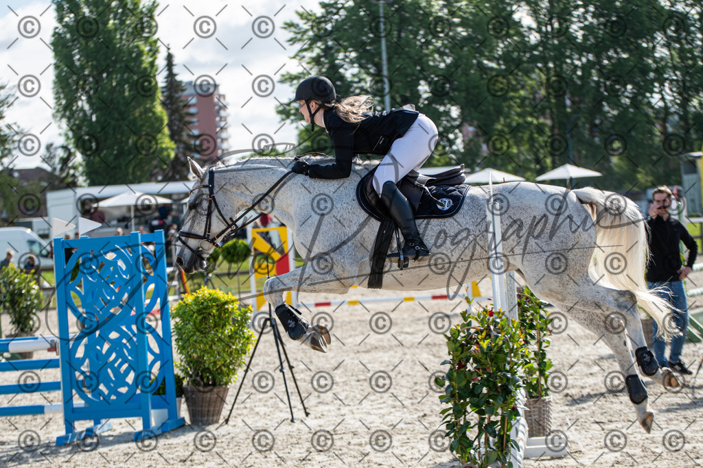 KPT_4565 | andre_photographic