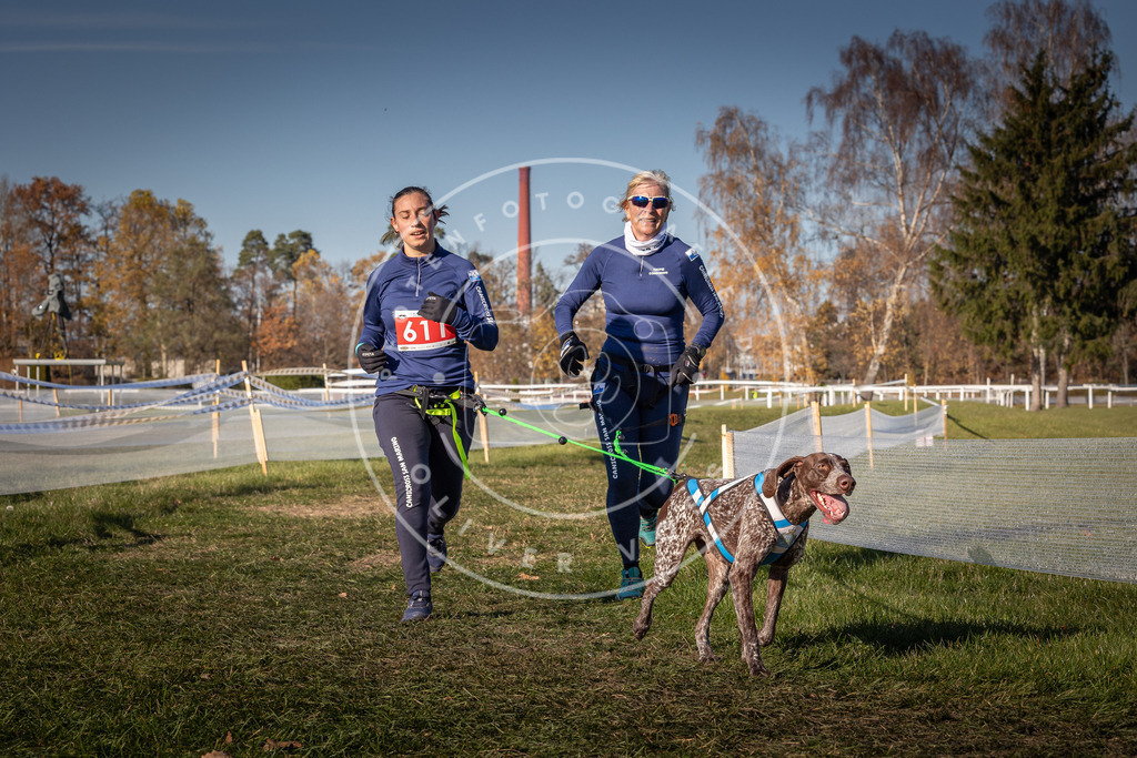 CaniXpix_0L8A8684 | Hundefotografie, Tierfotograf, Pfotenfotografie, Fotoshooting Hund, Hunde Portrait, Hundesport, Hundeportraits, Heideshooting, Hunde, Sportfotograf, Hundefotograf, Turnierhundsport, THS,  - Realisiert mit Pictrs.com