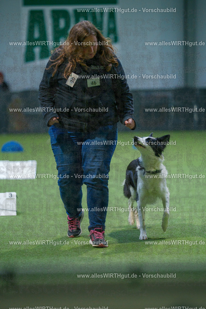 7R501392 | Professionelle Tierfotografie in Mönchengladbach von Daniel Wirth (allesWIRTHgut). Liebevolle & natürliche Bilder von Hunden & Katzen für unvergessliche Erinnerungen.