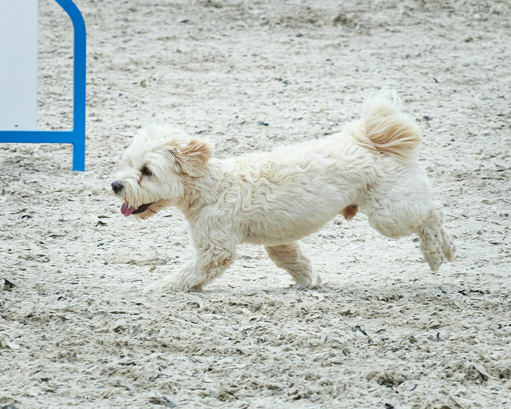 580A0100 | Peter Fridle Fotografie - Realisiert mit Pictrs.com