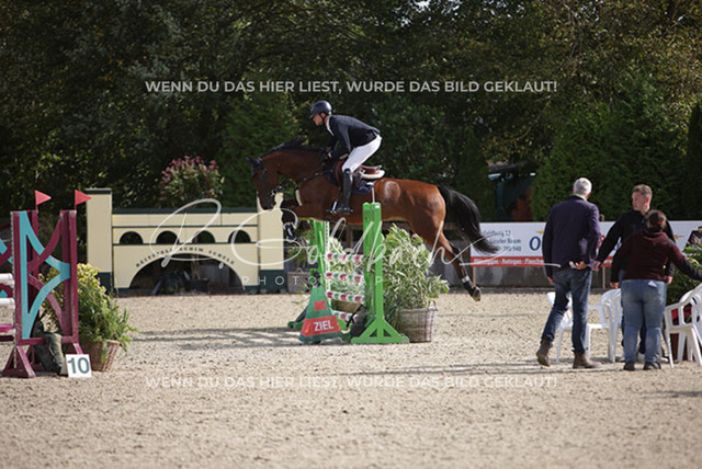 1J2A8061Lucas Wenz_ Uns Uwe 3_ Kn1033_ Havekost | Foto- und Videografie für alles rund ums Pferd. Hochwertige Bilder und Videos vom Spring- und Dressurreiten, Voltigieren & mehr. Jetzt aktuelle Veranstaltungen und Preise im Shop ansehen. - Realisiert mit Pictrs.com