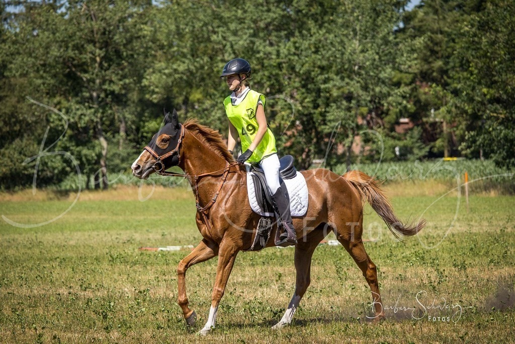 CJP_2026-06-26_71 | Stimmungsvolle Fotografie von Pferden, fotografische Begleitung von Veranstaltungen, Golfturnieren und Distanzritten - Realisiert mit Pictrs.com