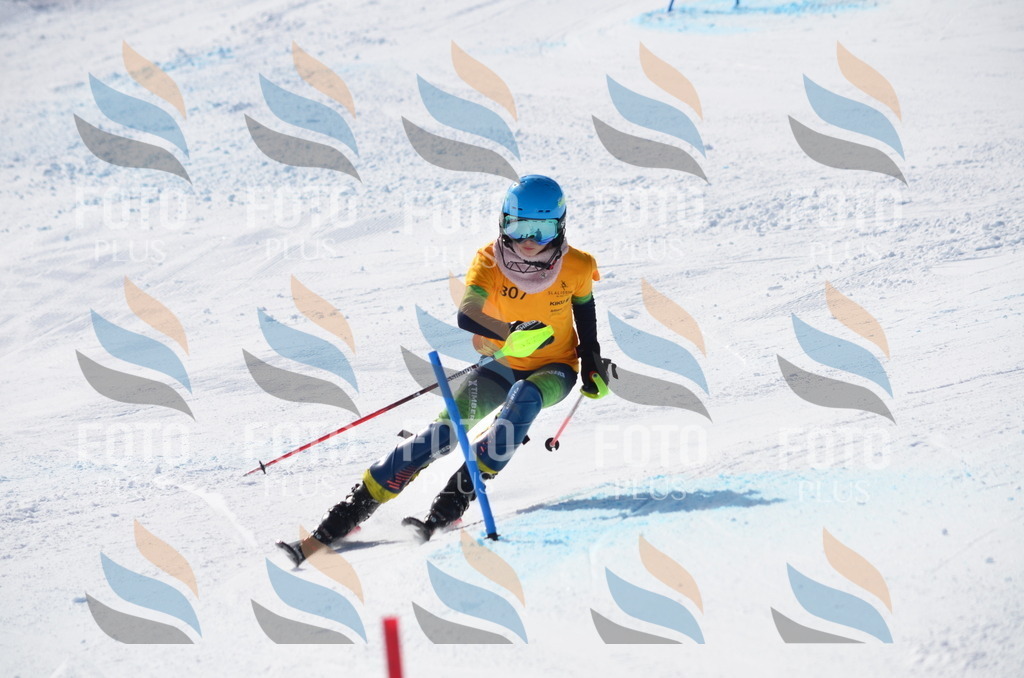 C9500 | holidayphoto