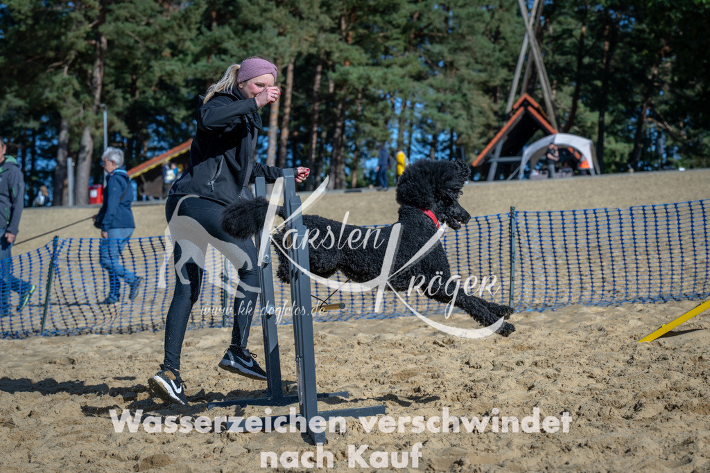 1145_ZZ91971-2 | kk-dogfotos