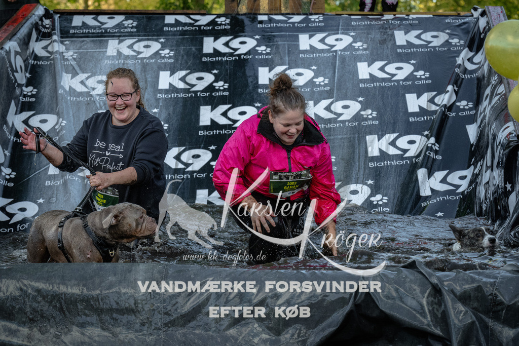 1602_ZZ91999 | kk-dogfotos