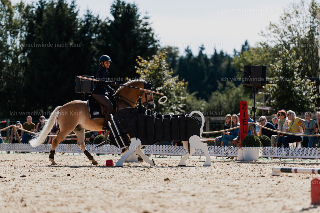 Tanesha5FHC2025-08812 | working equitationturnier fotograf videograf stoibphotography marixx film working equitation deutschland reitsport turnierfotografie eventfotografie equestrian events