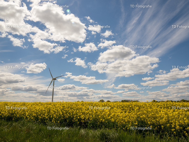 ostesse_natur-013915 | OLYMPUS DIGITAL CAMERA - Realisiert mit Pictrs.com