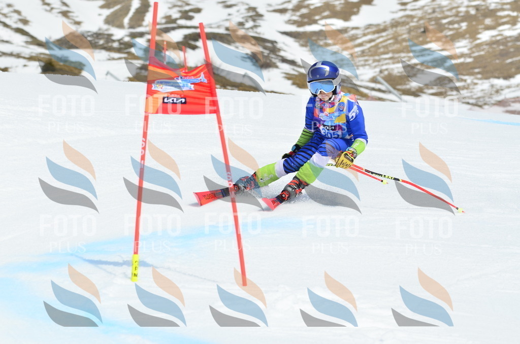 _ELE2257 | holidayphoto