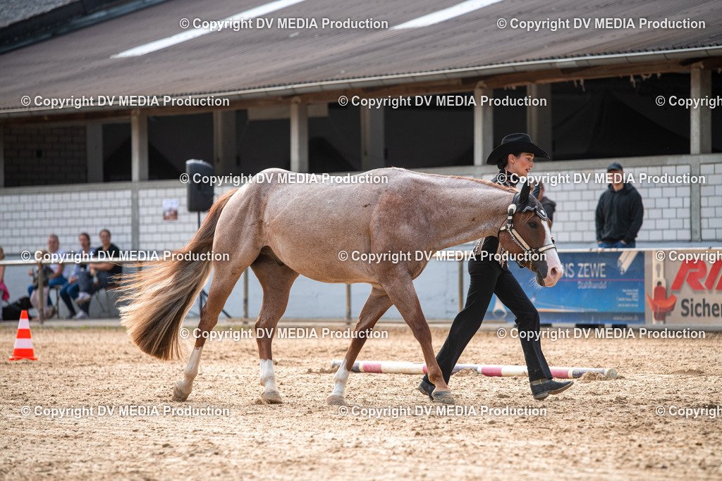 EWP_5612 | dv-media-shop - Realisiert mit Pictrs.com