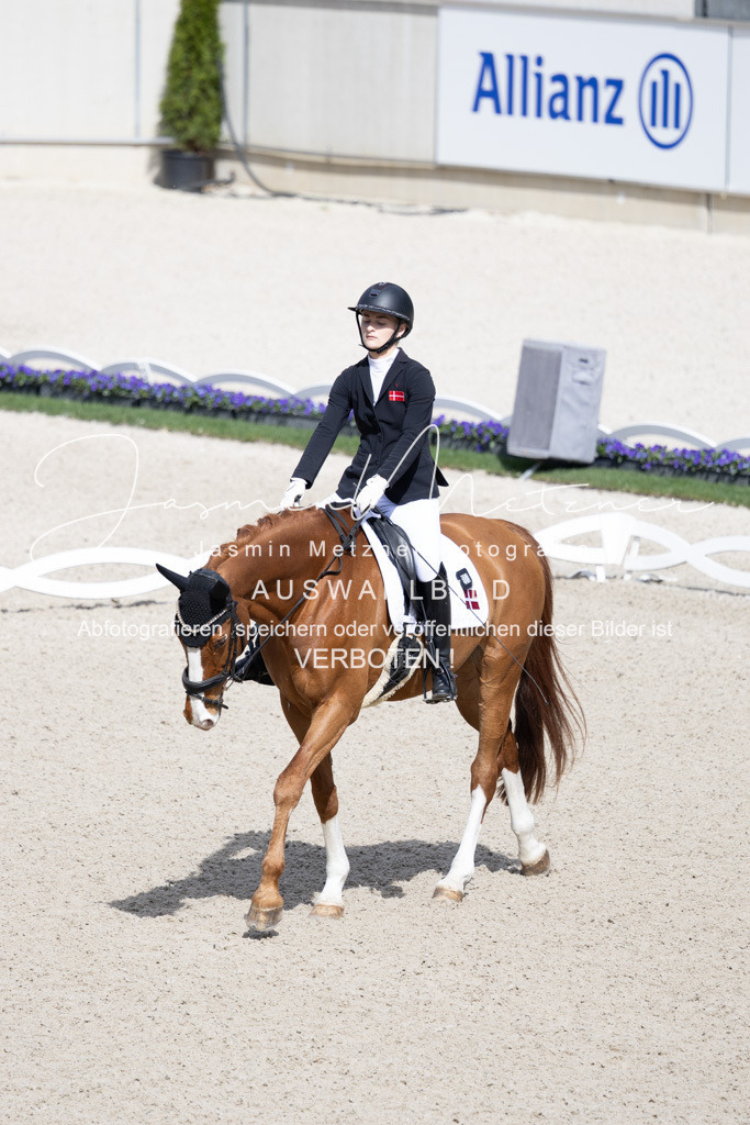 126A0270 | jasminmetznerfotografie