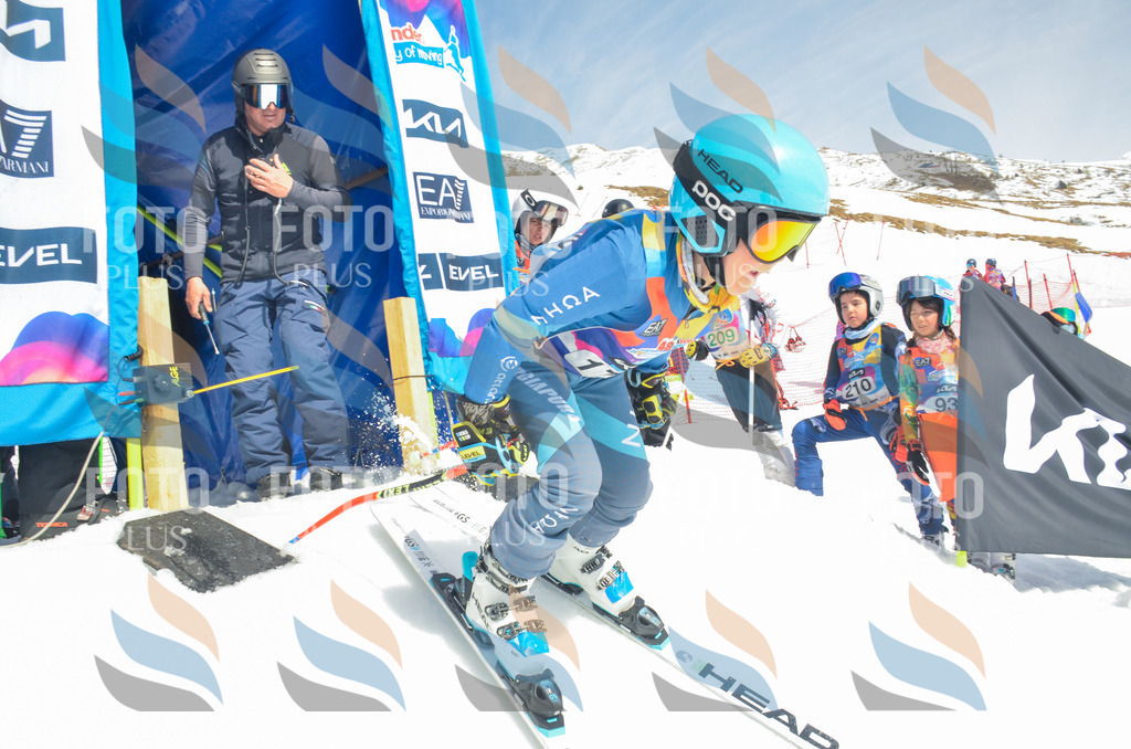 _ELE6607 | holidayphoto