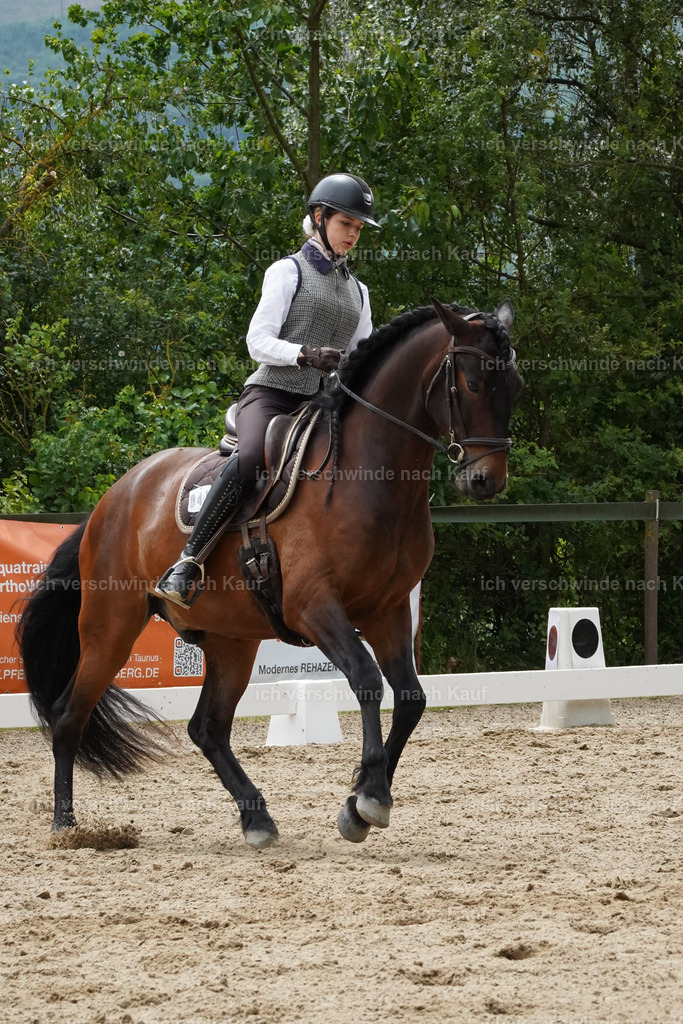 KlasseE_Lucie474 | working equitationturnier fotograf videograf stoibphotography marixx film working equitation deutschland reitsport turnierfotografie eventfotografie equestrian events