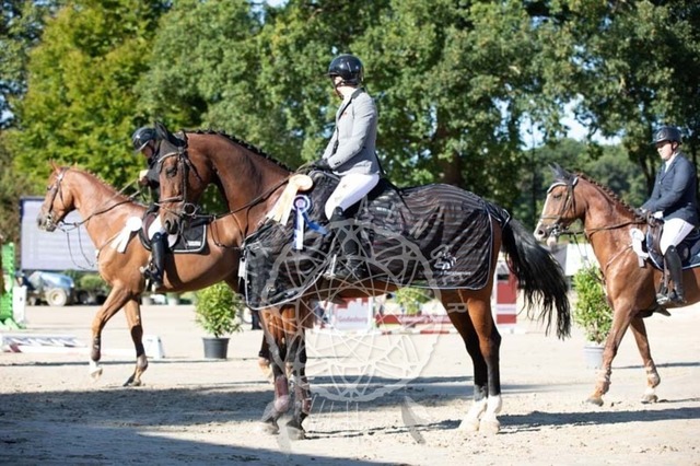 2B4A0739 | pixelfaenger - Realisiert mit Pictrs.com