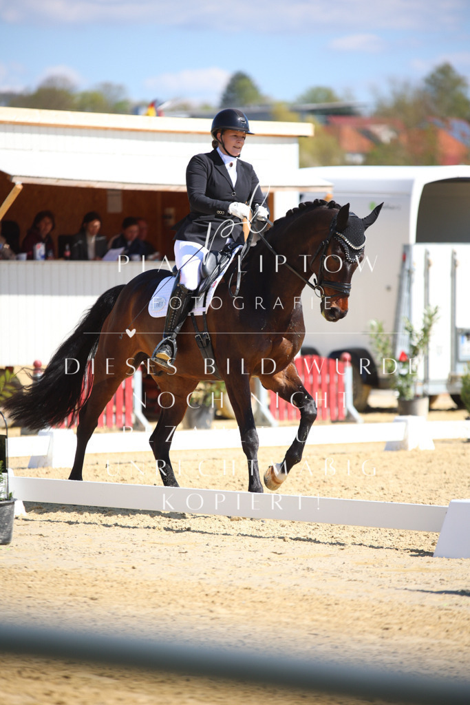 IMGT7534 | pl-fotografie