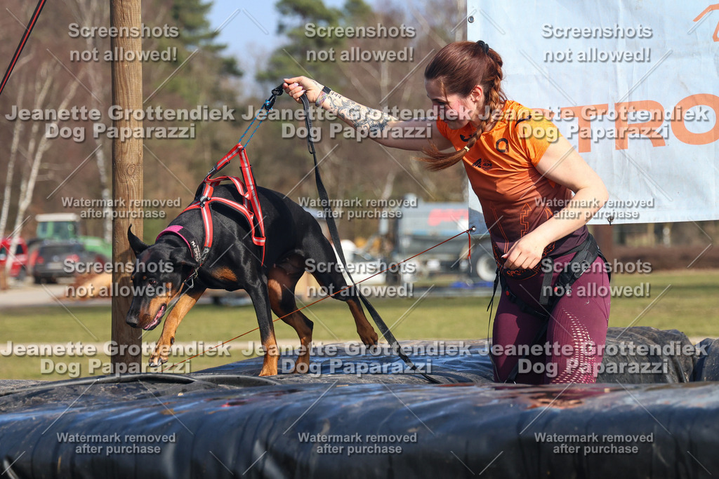 Dog Paparazzi - Strongdog North Mrz26-3175 | Dog Paparazzi Jeanette Grottendiek Fotografie & Videografie - Realisiert mit Pictrs.com