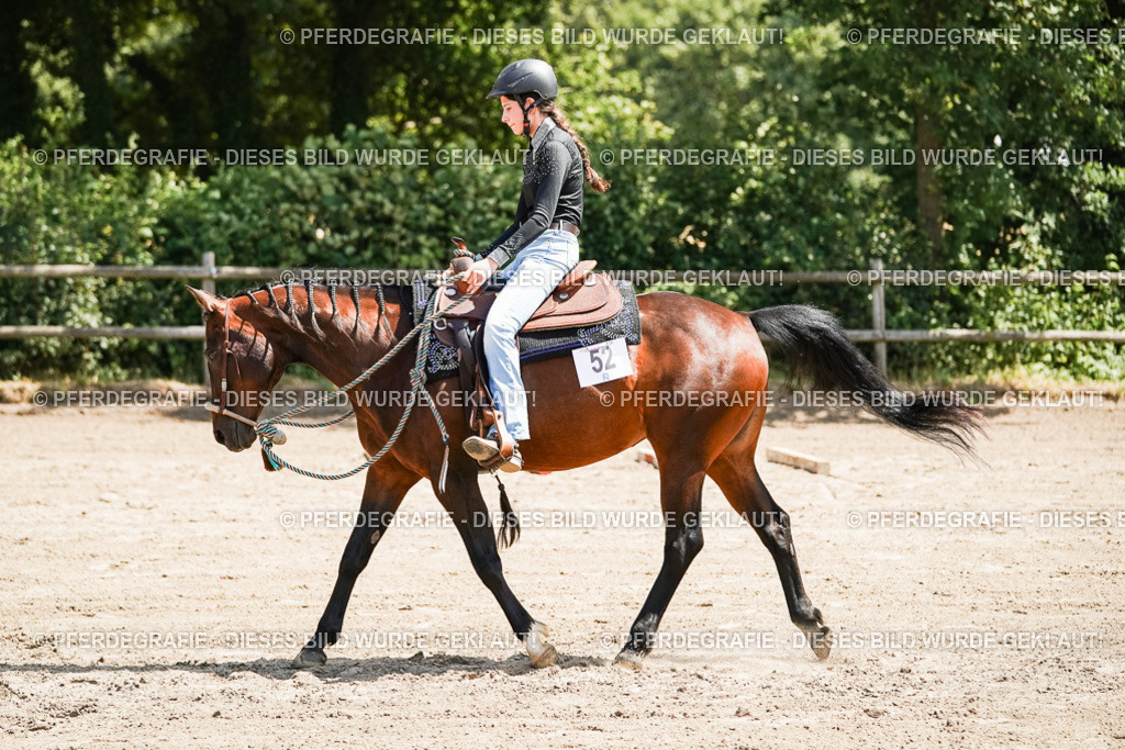 DSC07612 | Pferdegrafie