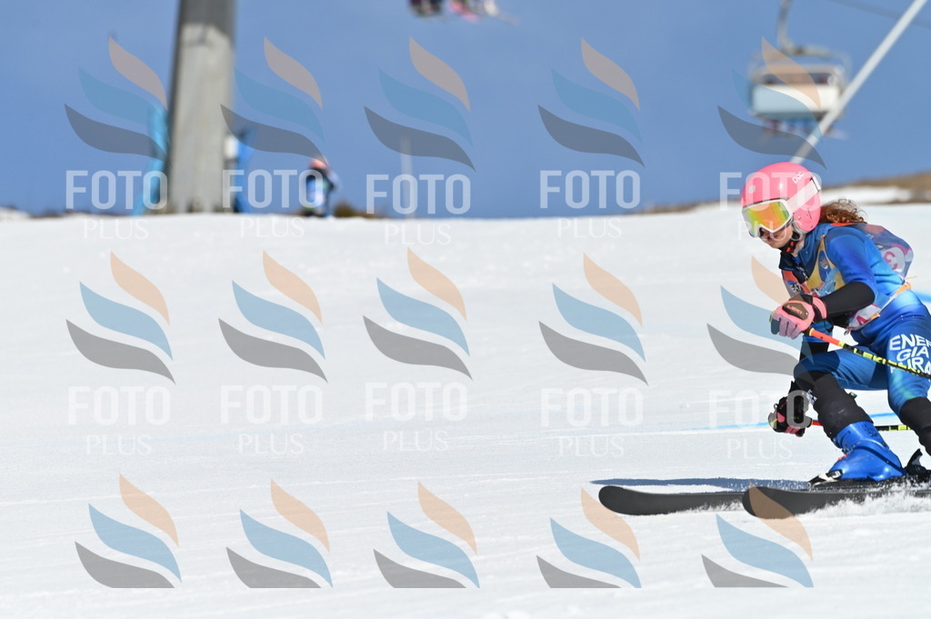 BGV_8232 | holidayphoto