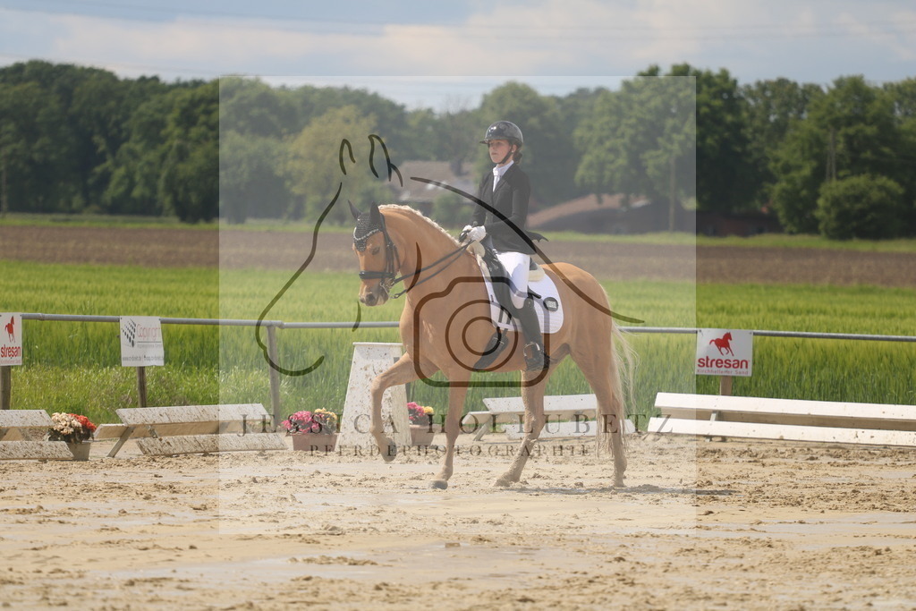 IMG_9248 | jessicahollubetz_pferdephotographie - Realisiert mit Pictrs.com