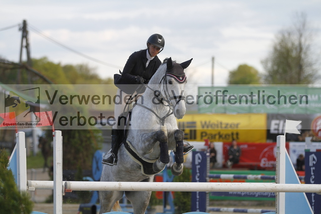 _MG_8364 | equestrian-live-com