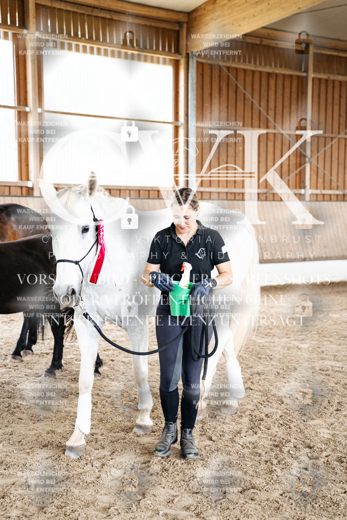 CK703283 | Turnierfotografie Pferdefotografie Trier Rheinland-Pfalz Pferdesport Reitsport Tierfotografie Sportfotografie Pferdevideo Pferdevideografie Equestrianvideography equestrianphotography  - Realisiert mit Pictrs.com
