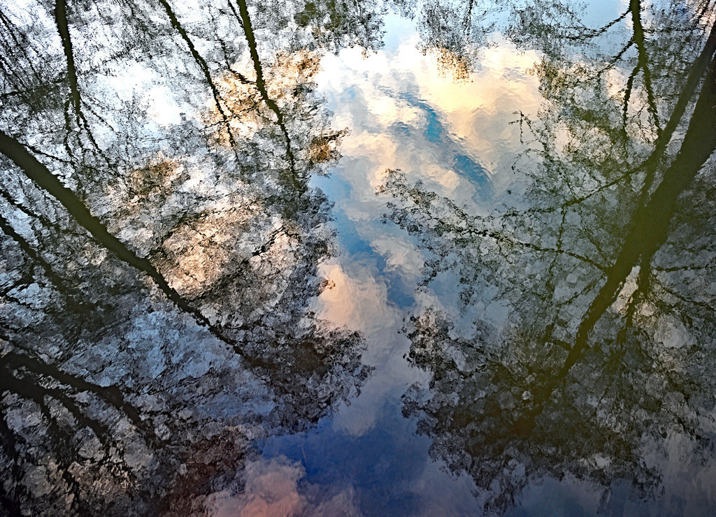 Reflexion02 | lucisnaturbilder - Realisiert mit Pictrs.com