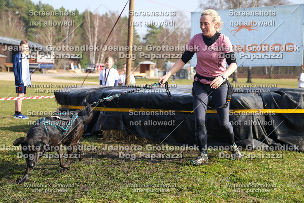 Dog Paparazzi - Strongdog North Mrz26-1773 | Dog Paparazzi Jeanette Grottendiek Fotografie & Videografie - Realisiert mit Pictrs.com