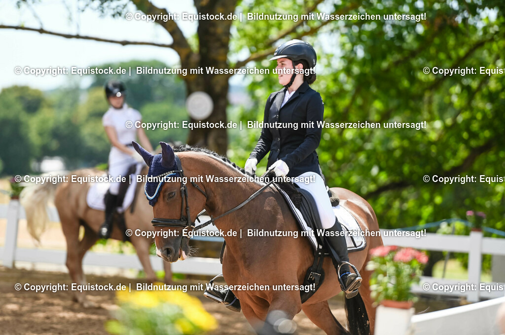 20230715_09_Dressur-WB_0472 | equistock