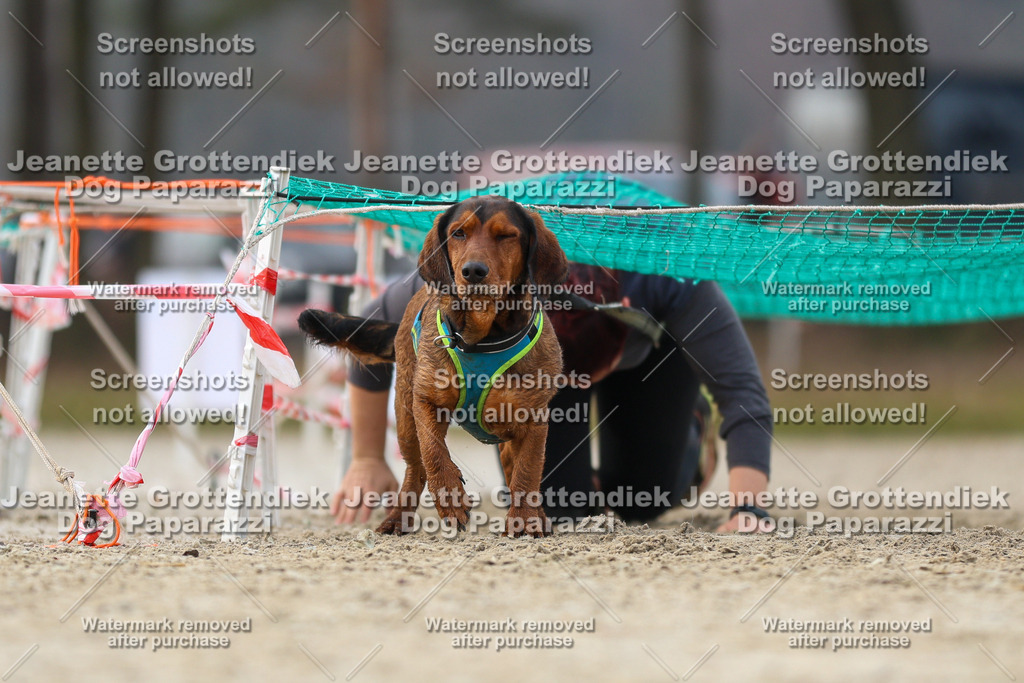 Dog Paparazzi - Strongdog North Mrz26-4422 | Dog Paparazzi Jeanette Grottendiek Fotografie & Videografie - Realisiert mit Pictrs.com