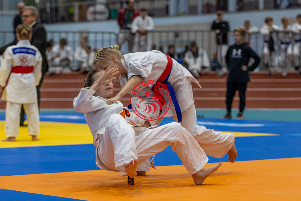 Internationaler Adler Cup 2024 | Foto vom Internationalen Adler Cup Judo Turnier im Sport- und Freizeitzentrum Kalbach im Oktober 2024 - Realisiert mit Pictrs.com