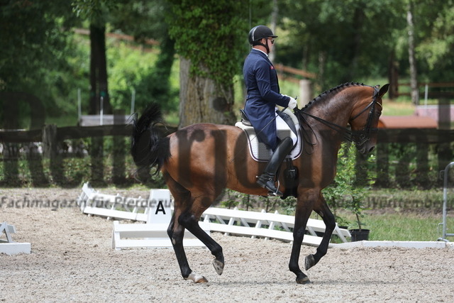 Meißenheim_2023_Prfg.Nr.16_Dressur_Kl.S_Reiter u.U25_Christoph Niemann_Let_s Dance 95 (20) | Alle Fotos der Reiterjournal Fotografin Doris Matthaes im Reiterjournal Online-Fotoshop. - Realisiert mit Pictrs.com