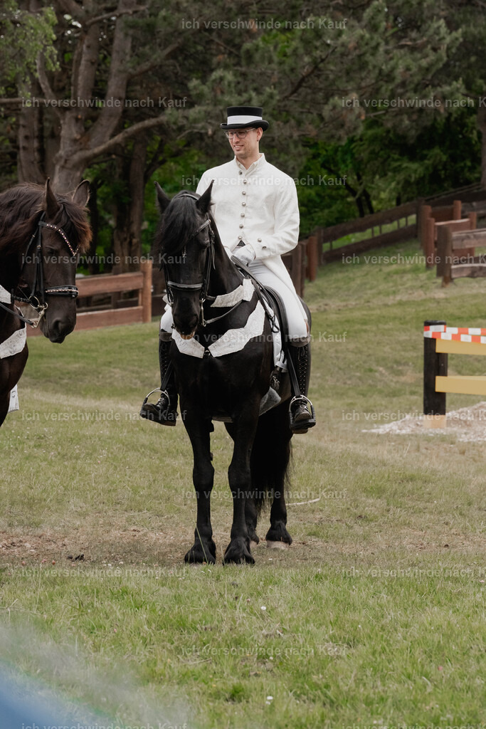 Showprogramm-211 | working equitationturnier fotograf videograf stoibphotography marixx film working equitation deutschland reitsport turnierfotografie eventfotografie equestrian events