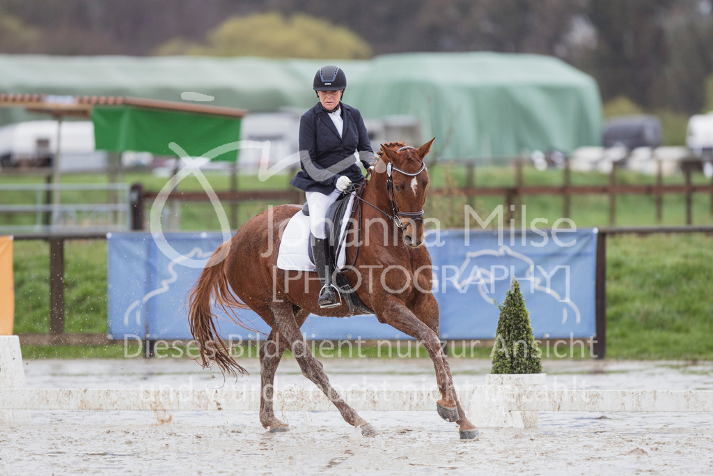240401_Fruehlingsfest_A1-Dressur-423 | Deine schönsten Turniermomente als professionelle Fotos! Entdecke hochwertige Pferdesport-Fotografie im Online-Shop. Jetzt Fotos finden & bestellen!