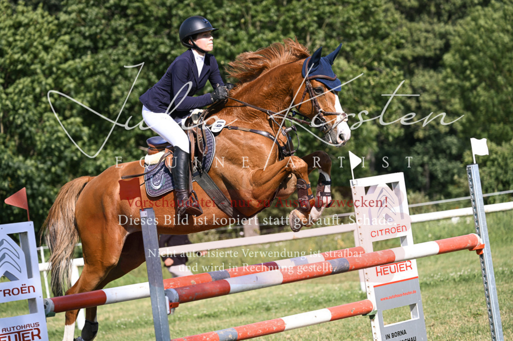DSC_1207 | Pferde- und Turnierfotografie in Westsachsen. Pferdeportraits, Auftragszeichnungen und intuitive Kunst.