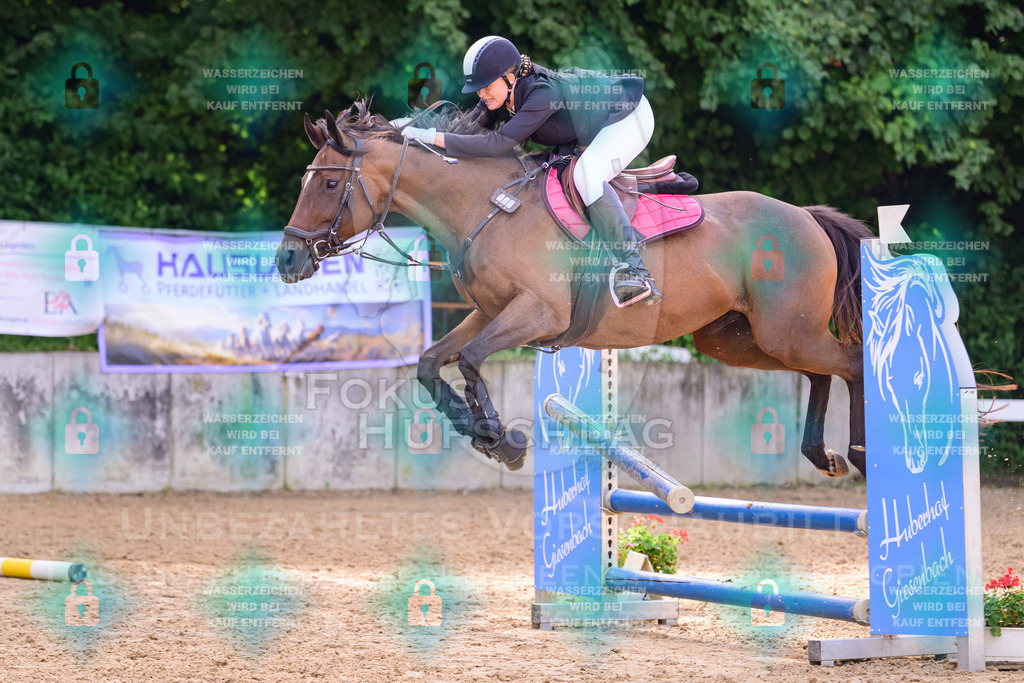 30082026-Giesenbach-Prfg16-0589 | Fokus Hufschlag Fotografie - Realisiert mit Pictrs.com