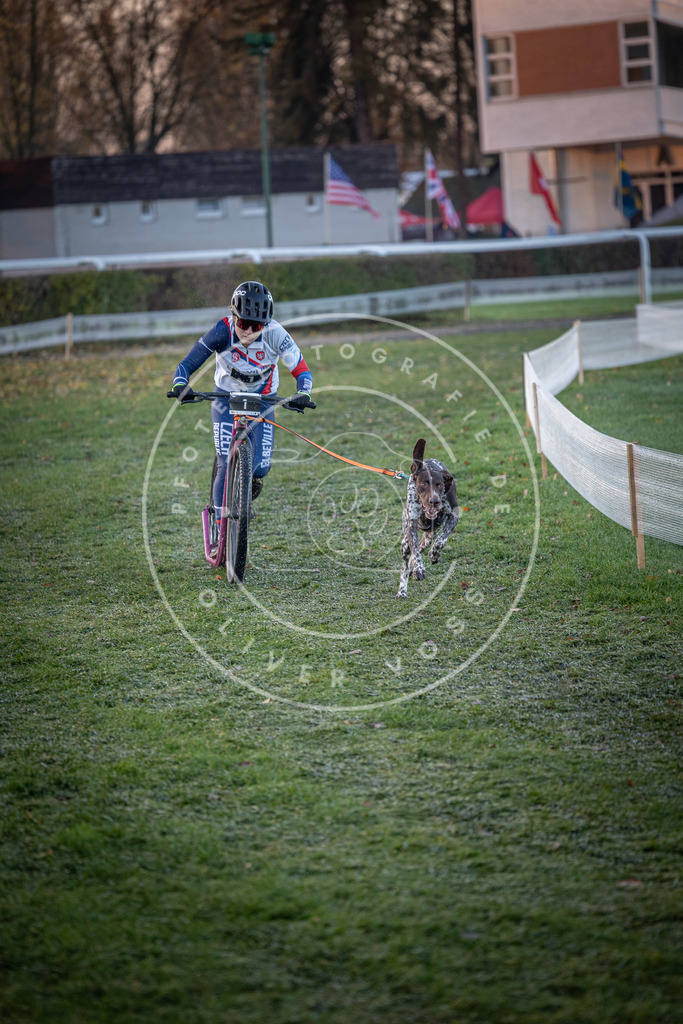 CaniXpix_0L8A0856 | Hundefotografie, Tierfotograf, Pfotenfotografie, Fotoshooting Hund, Hunde Portrait, Hundesport, Hundeportraits, Heideshooting, Hunde, Sportfotograf, Hundefotograf, Turnierhundsport, THS,  - Realisiert mit Pictrs.com