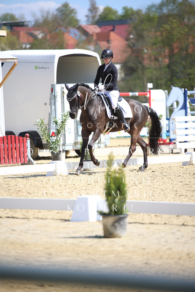 IMGT7265 | pl-fotografie