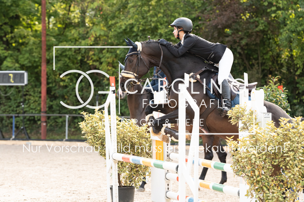 DSC01673 | Carolin Gieschke