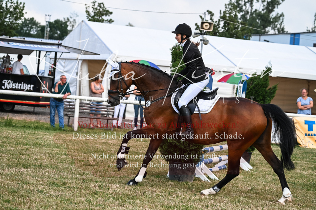 DSC_8064 | Pferde- und Turnierfotografie in Westsachsen. Pferdeportraits, Auftragszeichnungen und intuitive Kunst.
