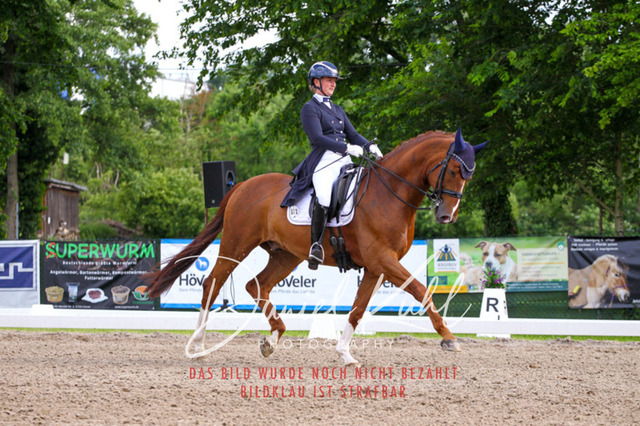 DKP41544 | Turnierfotos kaufen im Webshop von Daniel Kuhl Photography – entdecke professionelle Reitsportfotos aus Turnieren & Events. Hochwertige Turnierbilder online bestellen & sichern. Jetzt Fotos von Reitsportturnieren kaufen!