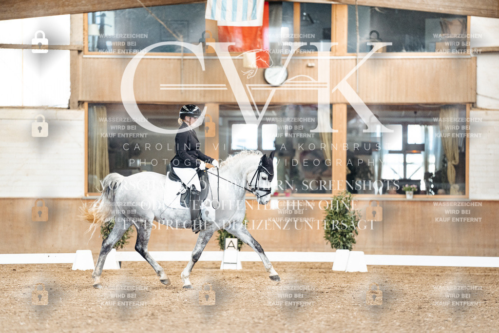 CK900902 | Turnierfotografie Pferdefotografie Trier Rheinland-Pfalz Pferdesport Reitsport Tierfotografie Sportfotografie Pferdevideo Pferdevideografie Equestrianvideography equestrianphotography  - Realized with Pictrs.com
