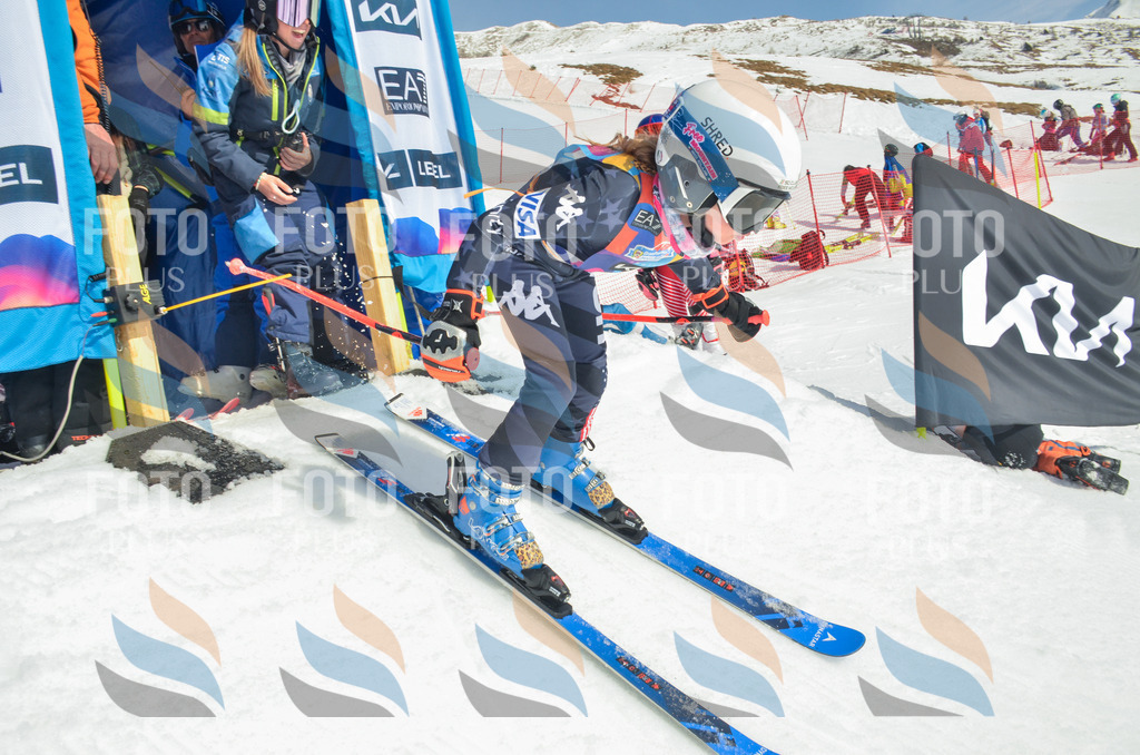 _ELE5300 | holidayphoto