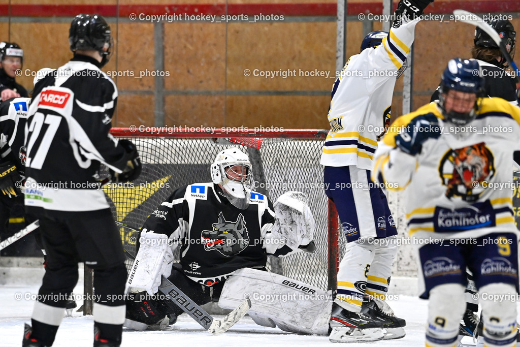 EC Tigers Paternion vs. Tarco Wölfe II | #34 Schleinzer Manuel Tarco Wölfe II, Jubel #8 Ortner Sandro EC Tigers Paternion, EC Tigers Paternion vs. Tarco Wölfe II, EC Tigers Paternion vs. Tarco Wölfe II am 19.12.2024 in Spittal an der Drau (Eissportzentrum Spittal), Austria, (Photo by Bernd Stefan)