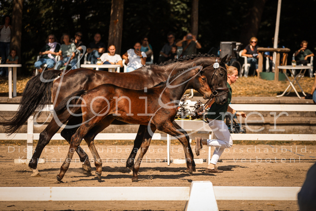 07.DoWBS00057 | Leoni Ertmer Photography - Realisiert mit Pictrs.com