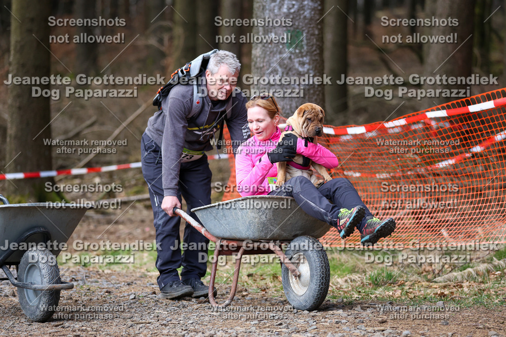 Dog Paparazzi - VCC26-793 | Dog Paparazzi Jeanette Grottendiek Fotografie & Videografie - Realisiert mit Pictrs.com