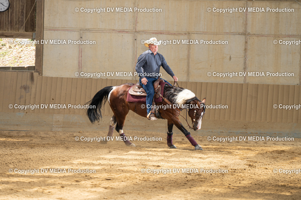 DSC00058-2 | dv-media-shop - Realisiert mit Pictrs.com