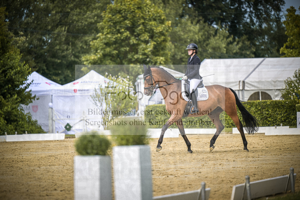 DOS_6154 | Entdecke hochwertige Reitturnierfotos von Foto Oger. Professionell, emotional und authentisch – jetzt Lieblingsmomente im Shop bestellen.Deutschlandweite Turnierfotografie. - Realisiert mit Pictrs.com