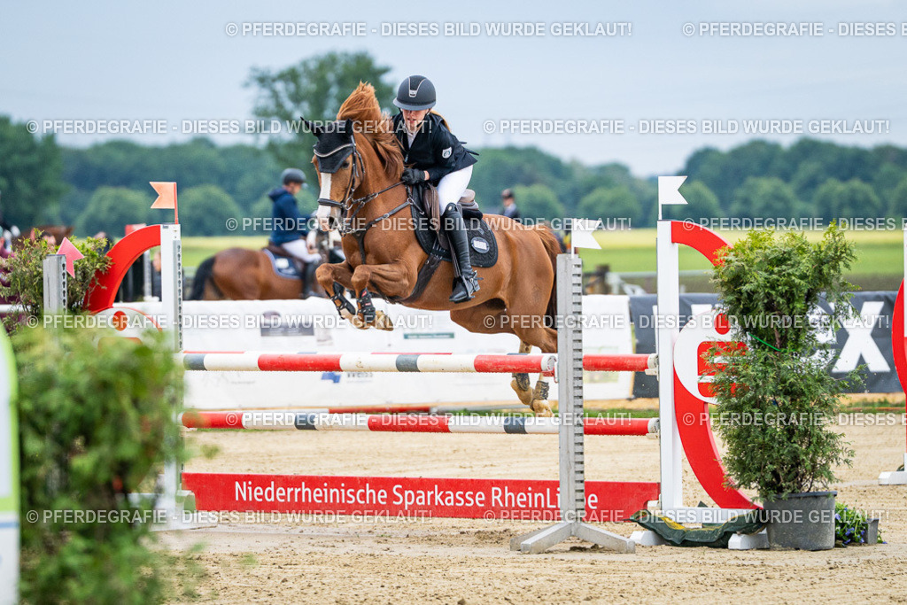 DSC04427 | Pferdegrafie